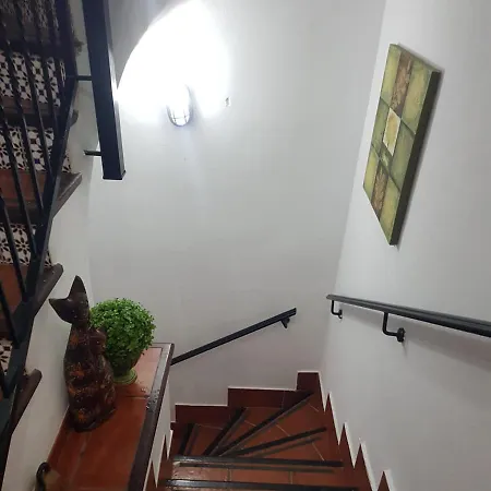Chalet Jardin Botanico Adeje 阿德耶